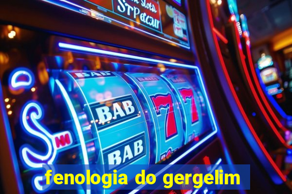 fenologia do gergelim
