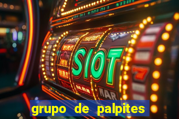 grupo de palpites de futebol telegram