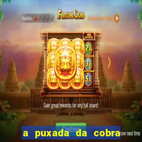 a puxada da cobra no jogo do bicho