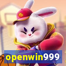 openwin999