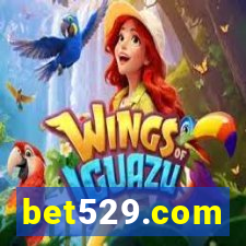 bet529.com