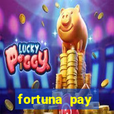 fortuna pay consultoria financeira ltda