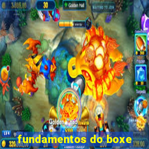 fundamentos do boxe