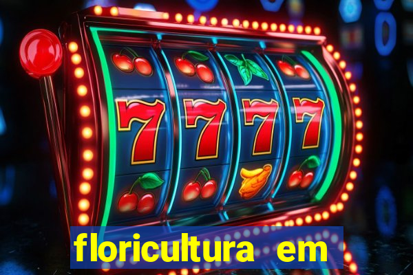 floricultura em franca sp