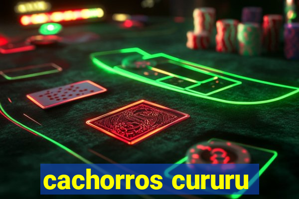 cachorros cururu