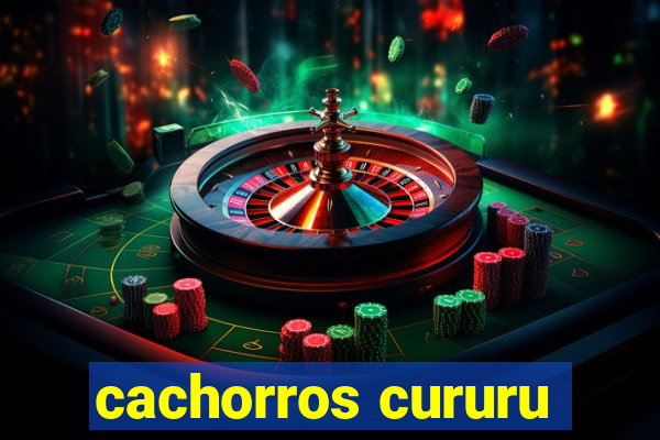 cachorros cururu