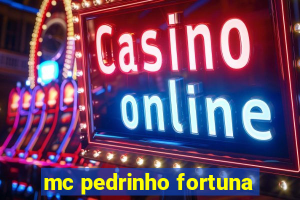mc pedrinho fortuna