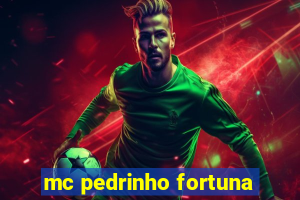 mc pedrinho fortuna