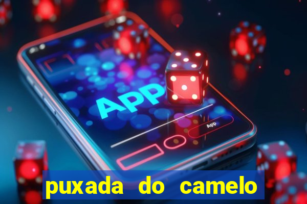 puxada do camelo jogo do bicho
