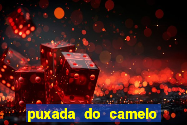 puxada do camelo jogo do bicho