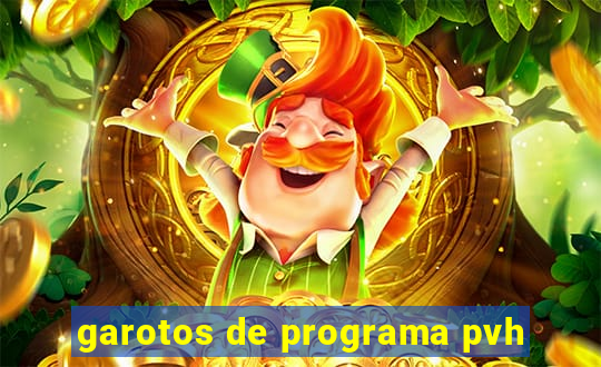 garotos de programa pvh