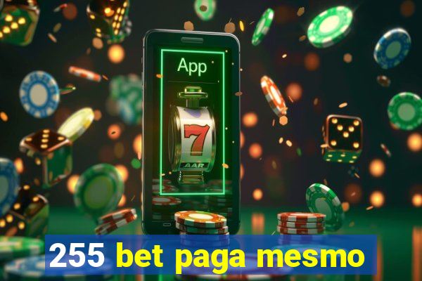 255 bet paga mesmo