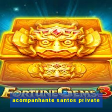 acompanhante santos private