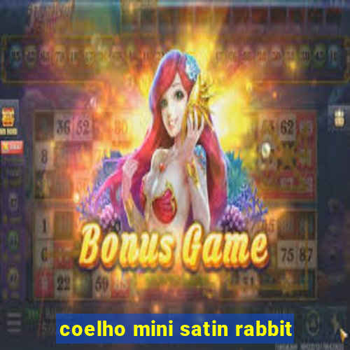 coelho mini satin rabbit