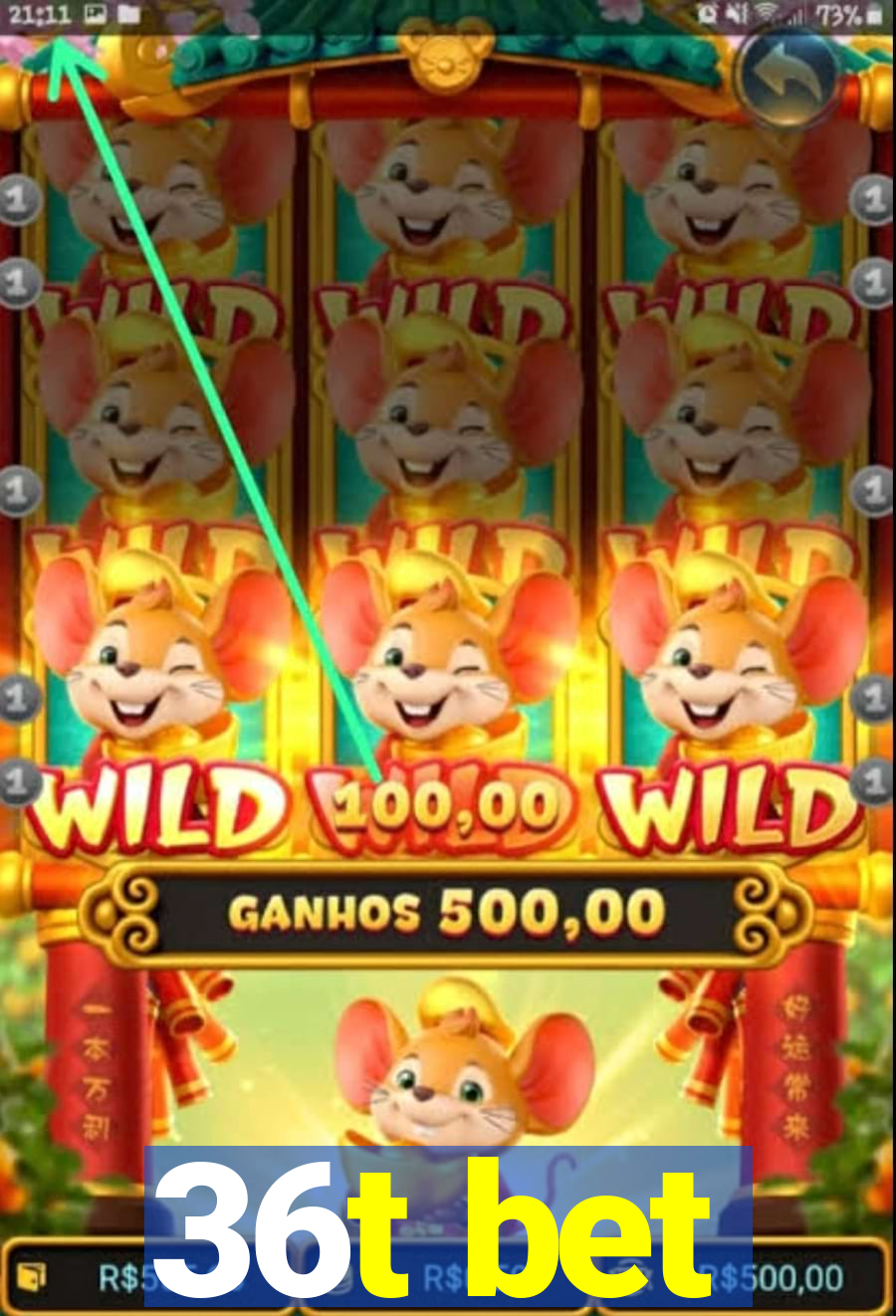 36t bet