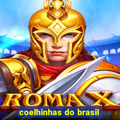 coelhinhas do brasil